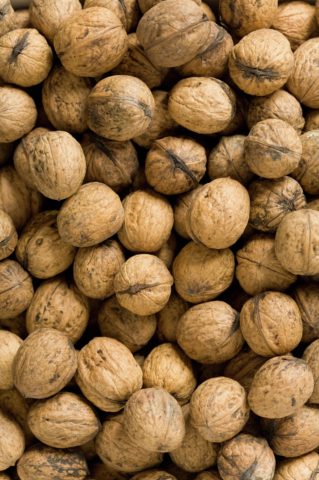 Detail of walnuts
