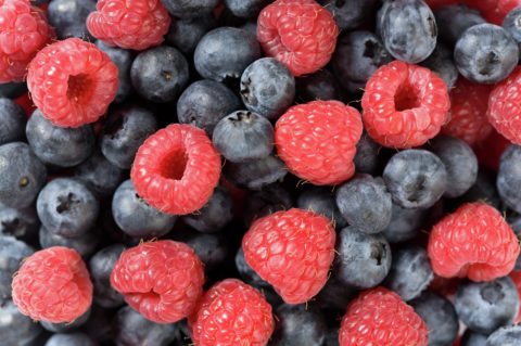 Detail of blueberries and raspberries