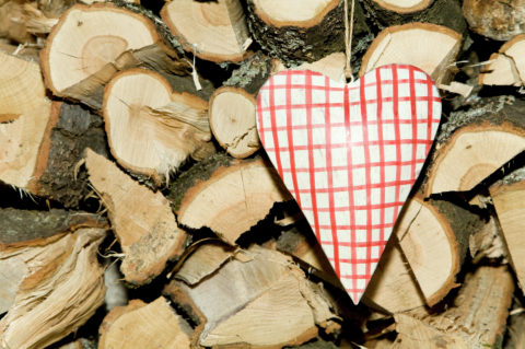 Checkered heart hanging on logs
