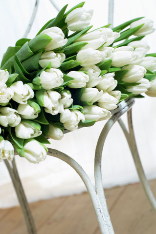 White tulips on a chair
