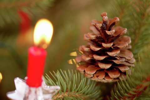 Burning candle and pine cones on Christmas tree