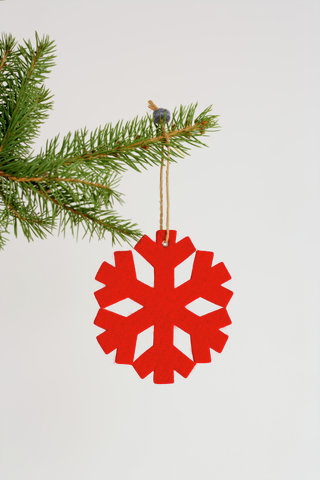 Ornament on Christmas tree