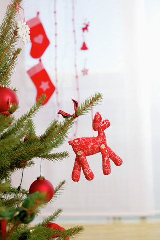 Ornament on Christmas tree