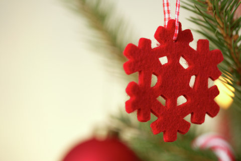Ornament on Christmas tree