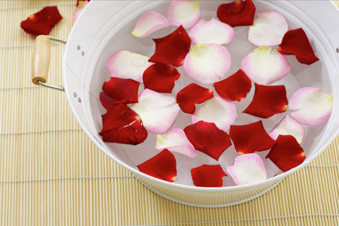 Rose petals in dish with water