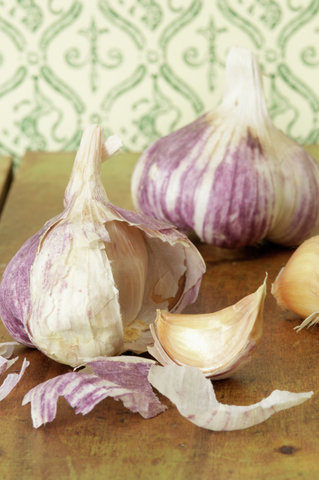 Heads of purple garlic 